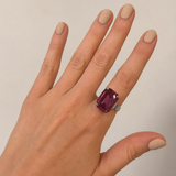 ROXY RING LIVEBOX