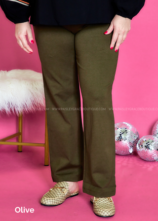 Chic Solid Straight Pants - Fall Colors