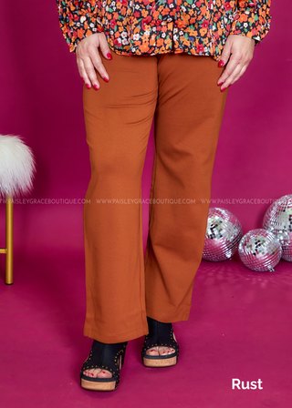 Chic Solid Straight Pants - Fall Colors