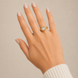 SAGE GOLD RING LIVEBOX - PREORDER  - PREORDER