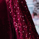 Burgundy Velvet Top With Sequin Sleeves