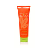 Hand & Body Lotion - PREORDER