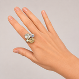 QUINN RING LIVEBOX