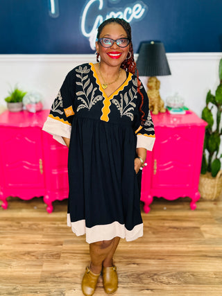 Embroidered Plunge V-Neck Mini Dress