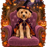 PGB Studio™ Custom Halloween Witch Chair Tee  -  ONE PET - S example artwork