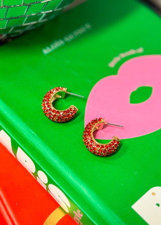 Paige Crystal Hoops - 2 Styles