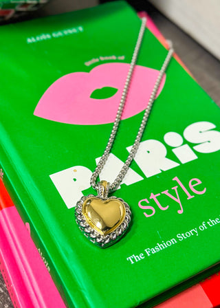 Sarah Two-Tone Heart Necklace