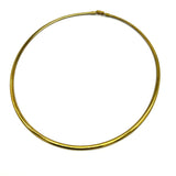 Essential Omega Necklace