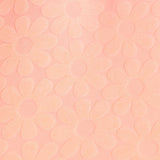 Sunsetter Shorts - Neon Coral* FINAL SALE *