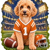 PGB Studio™ Custom Gameday Orange - ONE PET - SEE PRODUCT DE example artwork