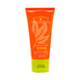 Scrub & Mend Kit  - PREORDER