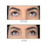 Million Dollar Lash Kit  - PREORDER