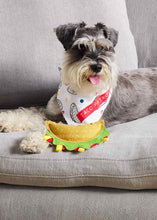 Load image into Gallery viewer, Dog Toy Bandana Set - 3 Options  - FINAL SALE
