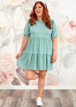 Load image into Gallery viewer, Bloom Baby Dress - Blue
