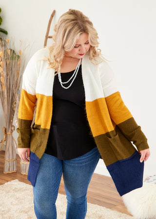 Tahoe Adventures Cardigan- FINAL SALE